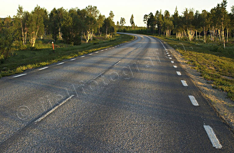 Väg i kvällsljus asfaltväg, biltrafik, kommunikationer, kurva, kväll, landfart, väg, vägkurva