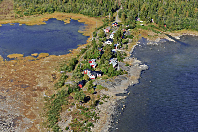 Västerbotten Sweden drönarbilder, drönarfoto, flygbild, flygbilder, Flygfoto, flygfoton, höst, stugor, Västerbotten