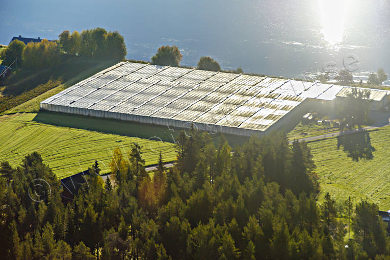 Växthus vid polcirkeln anläggningar, byggnader, drönarbilder, drönarfoto, flygbild, flygbilder, Flygfoto, flygfoton, gurkodling, gårdar, Hietalas Handelsträdgård, höst, Korva, Norrbotten, polcirkeln, tomatodling, växthus
