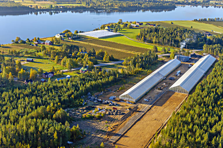 Växthus vid polcirkeln anläggningar, drönarbilder, drönarfoto, flygbild, flygbilder, Flygfoto, flygfoton, gurkodling, gårdar, Hietalas Handelsträdgård, höst, Korva, Norrbotten, polcirkeln, tomatodling, växthus