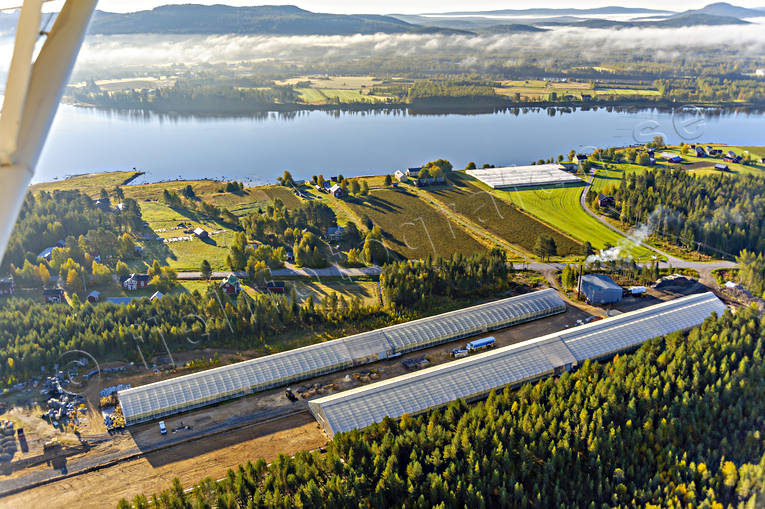 Växthus vid polcirkeln anläggningar, byggnader, byggnationer, drönarbilder, drönarfoto, flygbild, flygbilder, Flygfoto, flygfoton, gurkodling, gårdar, Hietalas Handelsträdgård, höst, Korva, Norrbotten, polcirkeln, tomatodling, växthus