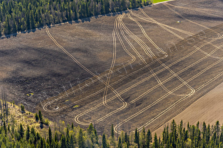 Vårbruk i Jämtland drönarbilder, drönarfoto, flygbild, flygbilder, Flygfoto, flygfoton, gärde, hjulspår, jordbruk, Jämtland, Landskap, lägda, motljus, mönster, randigt, ränder, traktorspår, vår, vårbruk, årstid, årstider
