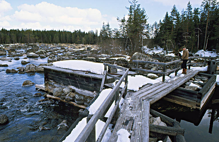 arbete, fiske, fiskhus, Gimn, yrkesfiske, lar, lfiske, lstuga