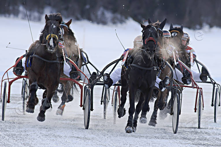 diverse, hst, hstar, istrav, sport, trav, travhstar, travsport, vinter, re, resjn