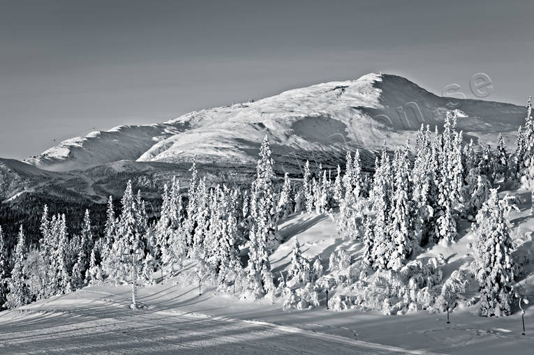 berg, fll, Jmtland, kalfjll, Landskap, sn, utsikt, vinter, reskutan, rstider