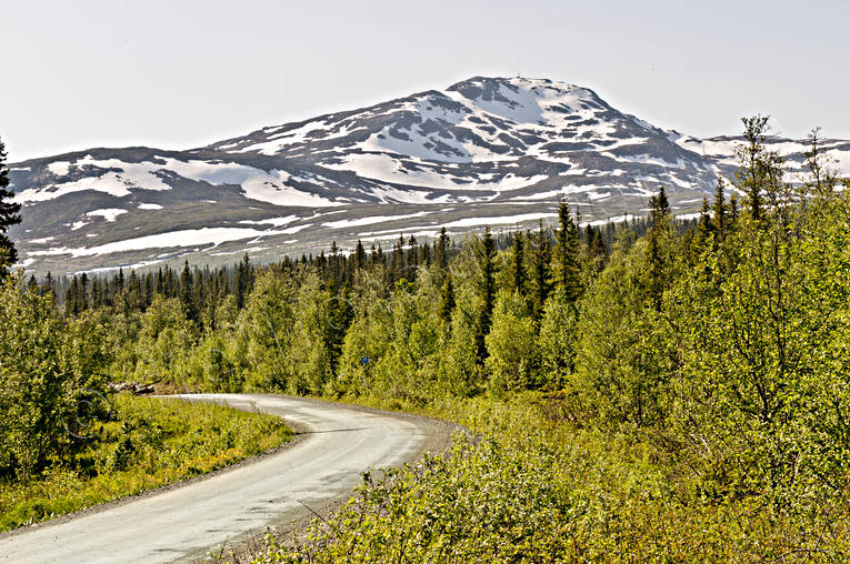 fjll, grnt, Jmtland, Landskap, natur, skog, snflckar, sommar, vr, reskutan, rstider