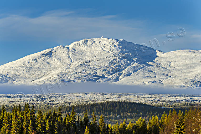 fjll, fjlltopp, hst, Jmtland, Landskap, natur, nysn, skog, reskutan