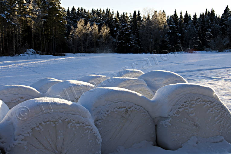 jul, julbilder, julkort, julstmning, stmning, stmningsbild, stmningsbilder, vinter, vinterbilder, rstid, rstider