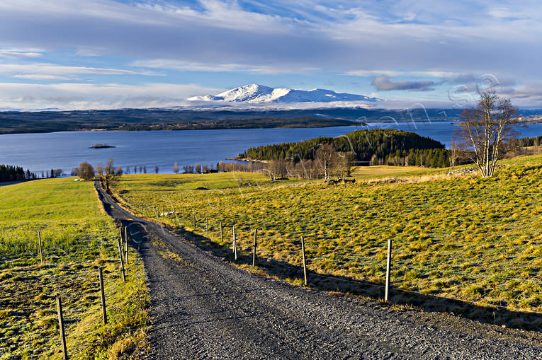 Ängsmark Kallsjön Åreskutan grusväg, höst, Jämtland, Kallsjön, natur, nysnö, ängsmark