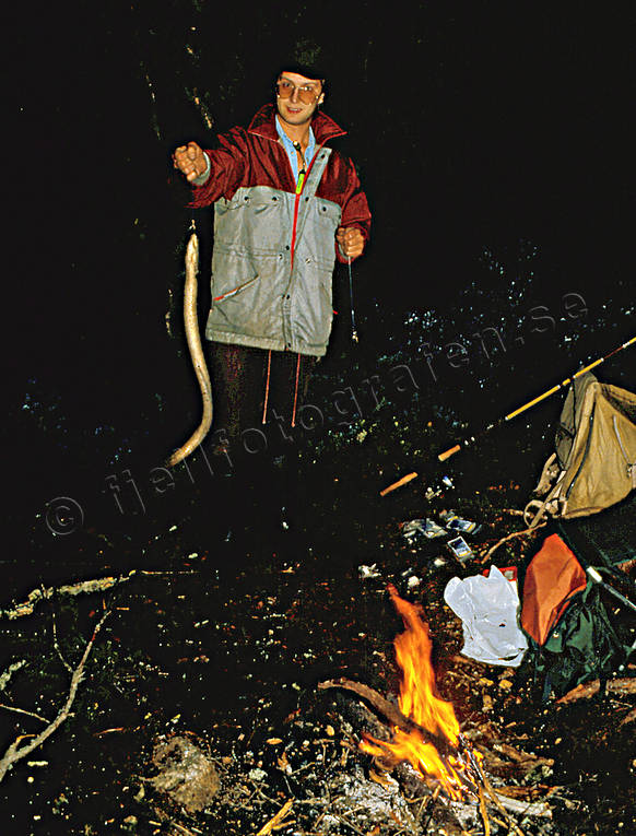Ålfiske i Herrevadströmmen fiske, Herrevadsströmmen, mete, nattfiske, nattmete, sportfiske, ål, ålar, ålfiske, ålmete