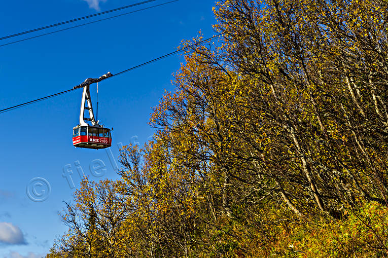 Åre Kabinbana höstlöv björk, höst, höstfärger, höstlöv, Jämtland, kabinbana, Landskap