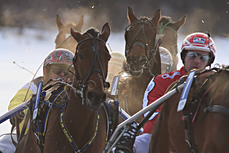 Åre istrav varmblod diverse, häst, hästar, istrav, sport, trav, travhästar, travsport, varmblod, vinter, Åre, Åresjön