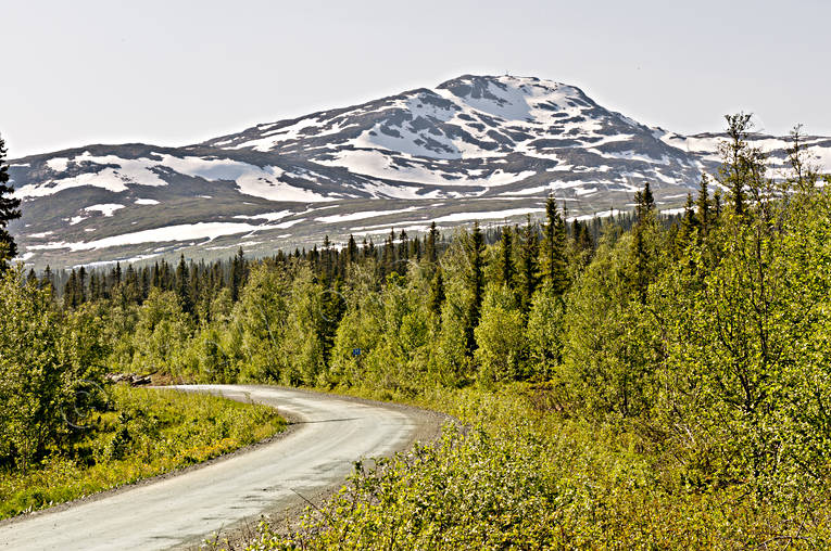 fjäll, grönt, Jämtland, Landskap, natur, skog, snöfläckar, sommar, vår, Åreskutan, årstider