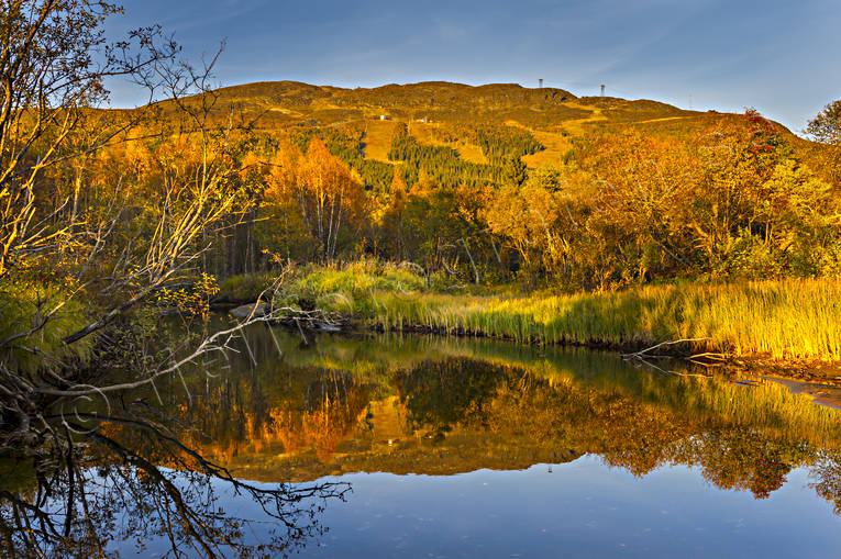 Åreskutan spegelbild gul, höst, höstfärger, Indalsälven, Jämtland, Landskap, meander, spegelbild, vattendrag, Åreskutan, årstider