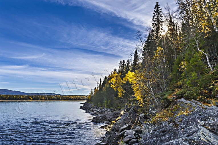 Östernoren Tännforsen höst, höstfärger, Jämtland, Landskap, Sevärdheter, sjö, Tännforsen, vattendrag, Östernoren