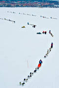 Amundsen race, draghund, draghundar, hundspann, sldhund, sldhundar, tvling, vinter, ventyr
