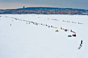 Amundsen race, draghund, draghundar, hundspann, slädhund, slädhundar, tävling, vinter, äventyr