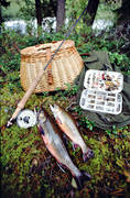 bckrding, fiske, flugask, flugfiske, flugsp, sportfiske