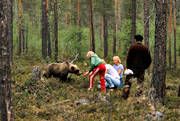 bamse, barn, bjrn, brunbjrn, djur, dggdjur, mata, matar, matas, nalle, ordd, rovdjur