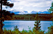Bjrnsjn, fjll, fjllskog, Hrjedalen, landskap, Lill-Lunndrren, Lunndrrsfjllen, sommar