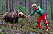 bamse, barn, björn, brunbjörn, djur, däggdjur, mata, matar, matas, nalle, orädd, rovdjur