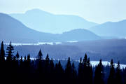 berg, blånande, horisonter, Jämtland, landskap, skogar, Ströms Vattudal, Vattudalen, vår
