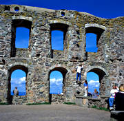 borg, borgruin, Braehus, Brahehus, fornminne, fornminnen, forntid, gammal, Grnna, kultur, ruin, slott, slottsruin