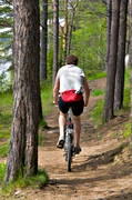 cykel, cykla, cyklist, friluftsliv, försommar, Jämtland, skogsstig, sommar, stig, tallar, tallskog, uteliv, årstid, årstider, äventyr