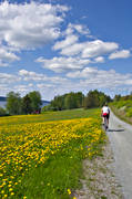 cykel, cykla, cyklist, friluftsliv, frsommar, grusvg, Jmtland, maskrosor, maskrosng, sommar, sommarhage, sommarvg, Storsjn, uteliv, vg, rstid, rstider, ventyr