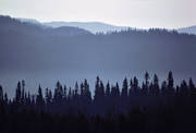 berg, blånande, dimma, höst, skog, storskog, Ströms Vattudal, stämning, stämningsbild, stämningsbilder, Vattudalen, årstid, årstider
