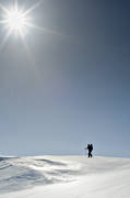 fjll, kalfjll, ledkors, mullfjllet, skidkare, skidkning, tur, turkare, turkning, vinter
