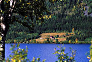 enlig, Fgelberget, glesbygd, grd, hst, Jmtland, landskap, skog, sommar, de