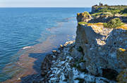 Alca torda, alka, alker, alkor, byggnader, byggnationer, djur, fyr, fyrhus, fyrplats, fgel, fglar, Gotland, hav, havet, havsstrand, klippa, klippor, kultur, sillgrissla, sillgrisslor, sjfgel, sjfglar, sommar, Stora Karls, Tordmule, Uria aalge