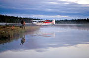 flyg, flygplan, fgeljakt, fgeljgare, jakt, jgare, landskap, lappland, sjflyg, sjflygplan, trdskllare, trdskllarjakt, vildmark, demark, ga*