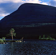 fiske, fjll, fjllfiske, haspel, haspelfiske, kvll, Munsfjllet, Munsvattnet, spinn, spinnfiske, sportfiske