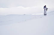 fjllen, fjlljakt, fjlljgare, jakt, kikarspana, ripa, ripjakt, spana, vinter, vinterjakt ripa, vinterripa