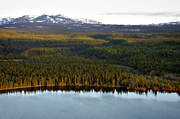 Bunnerfjllen, Bunnerviken, drnarbilder, drnarfoto, fjllnra, fjllskog, flygbild, flygbilder, flygfoto, flygfoton, Jmtland, landskap, skog, sommar, nnsjn