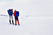 fjll, fjlled, fjlltur, fjllturister, led, skidor, skidkning, turister, turkare, turkning, uteliv, vinter, ventyr