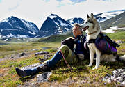 Andra nyckelord, fjll, fjllen, fjlltopp, fjllvandrare, fjllvandring, husky, Kebnekaise, klvja, klvjehund, klvjehundar, klvjning, landskap, lappland, natur, rast, sommar, sommarfjll, tuolpagorni, vila