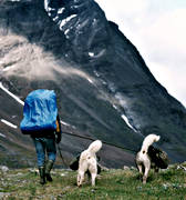 Andra nyckelord, fjll, fjllen, fjllvandrare, fjllvandring, friluftsliv, grnlandshund, klvja, klvjehund, klvjehundar, klvjning, landskap, lappland, natur, sommar, sommarfjll, uteliv, ventyr