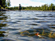 fiske, flugfiske, Gevsjstrmmen, sportfiske, torrfluga