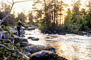 fiskare, flugfiskare, flugfiske, herrevadsstrmmen, Herrevadstrmmen, kvll, kvllssol, motljus, sportfiske