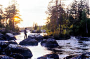 fiskare, flugfiskare, flugfiske, herrevadsstrmmen, Herrevadstrmmen, kvll, kvllssol, motljus, sportfiske