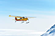Bellanca, Citabria, fjllen, fjllflyg, flyg, flygplan, kommunikationer, landar, luftfart, skidflyg, skidflygning, sportflyg, sportflygplan