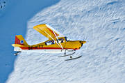 Bellanca, Citabria, fjllen, fjllflyg, flyg, flygplan, kommunikationer, landar, luftfart, skidflyg, skidflygning, sportflyg, sportflygplan
