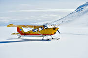 Bellanca, Citabria, fjllen, fjllflyg, flyg, flygplan, kommunikationer, landar, luftfart, skidflyg, skidflygning, sportflyg, sportflygplan, taxar
