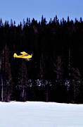 flyg, flygmaskin, kommunikationer, landning, luftfart, skidflyg, skidflygning, Super Koala, ultraltt