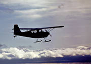 Bellanca, Citabria, flyg, flygmaskin, kommunikationer, luftfart, skidflyg, skidflygning, skidor