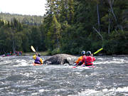 forspaddling, forsrnning, friluftsliv, paddling, sommar, uteliv, vattensport, ventyr