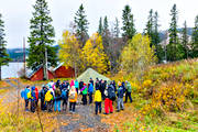 friluftsliv, grupp, hst, mnniskor, samling, sommar, tlta, ventyr